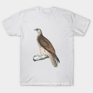 Cherrug Falcon T-Shirt